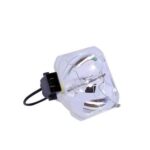 لامپ ویدئو پروژکتور اپسون ELPLP69